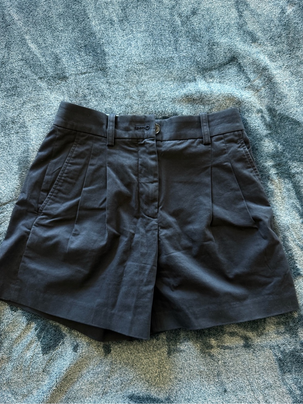 Aritzia Black High-Rise Pleated Cargo Shorts
